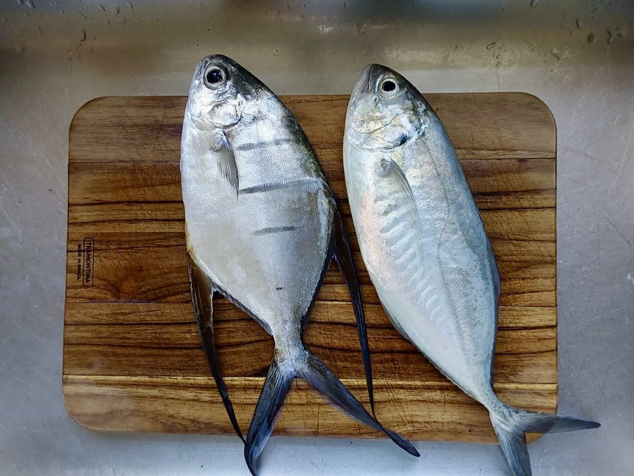 Golde Pompano on the curring board