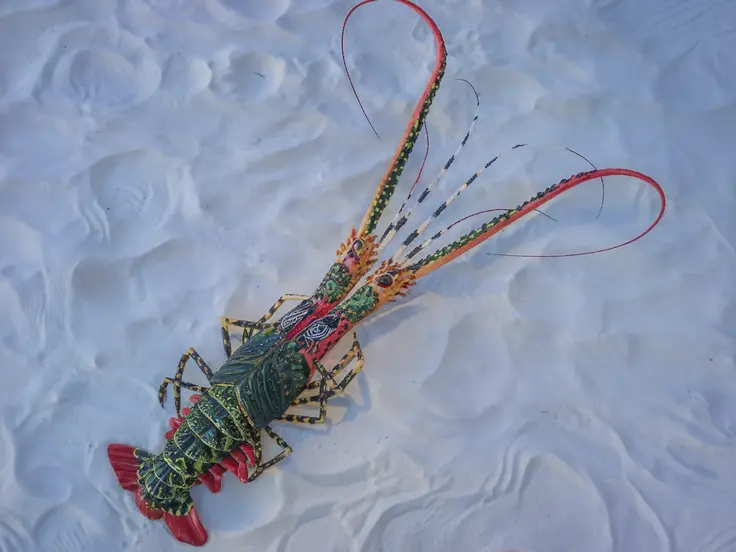 Close-Up of Raw Bamboo Lobster on white sand