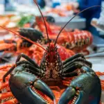 European Lobster being cleaned in a Seafood Market